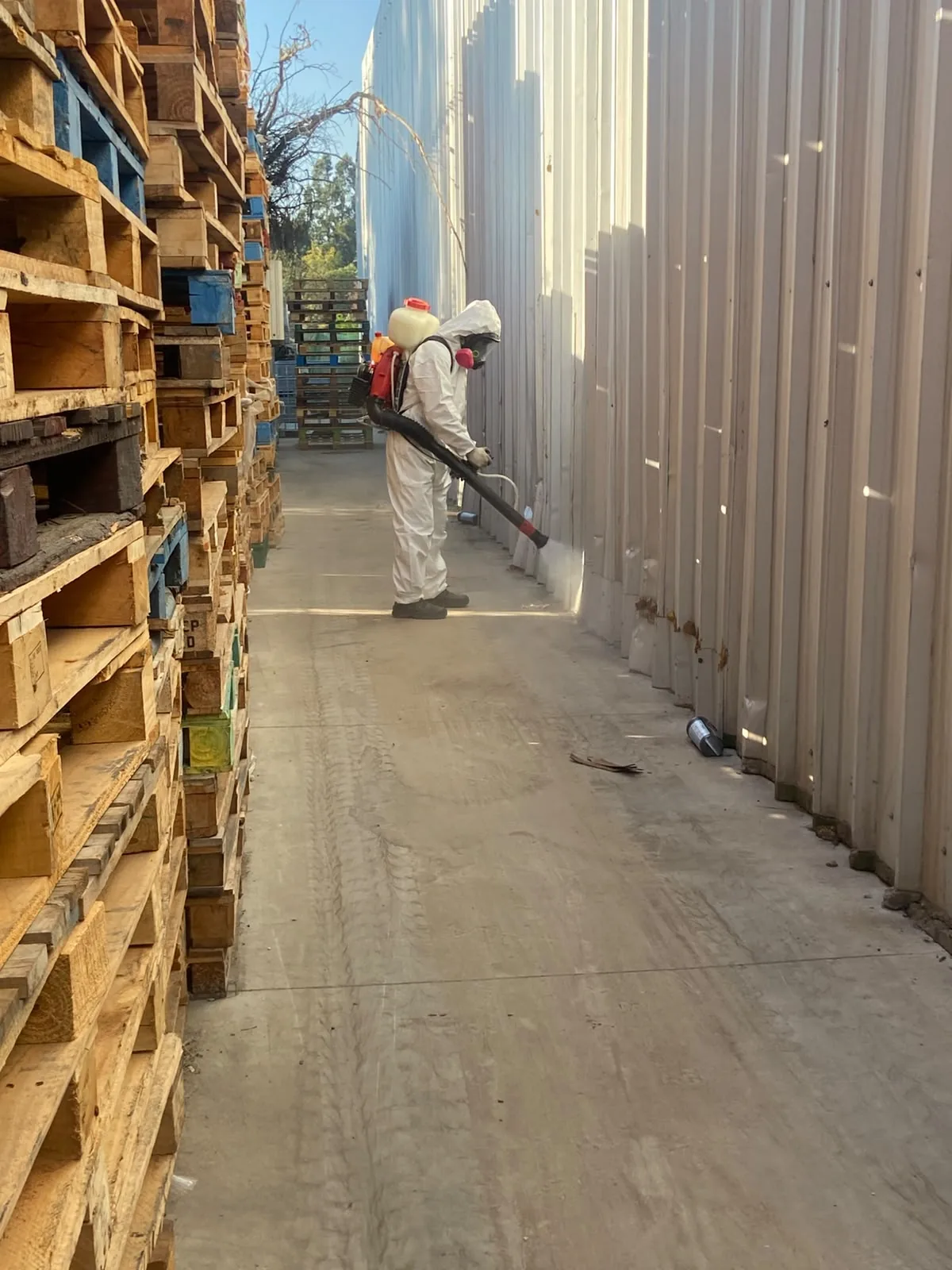 Control preventivo en bodegas y pasillos