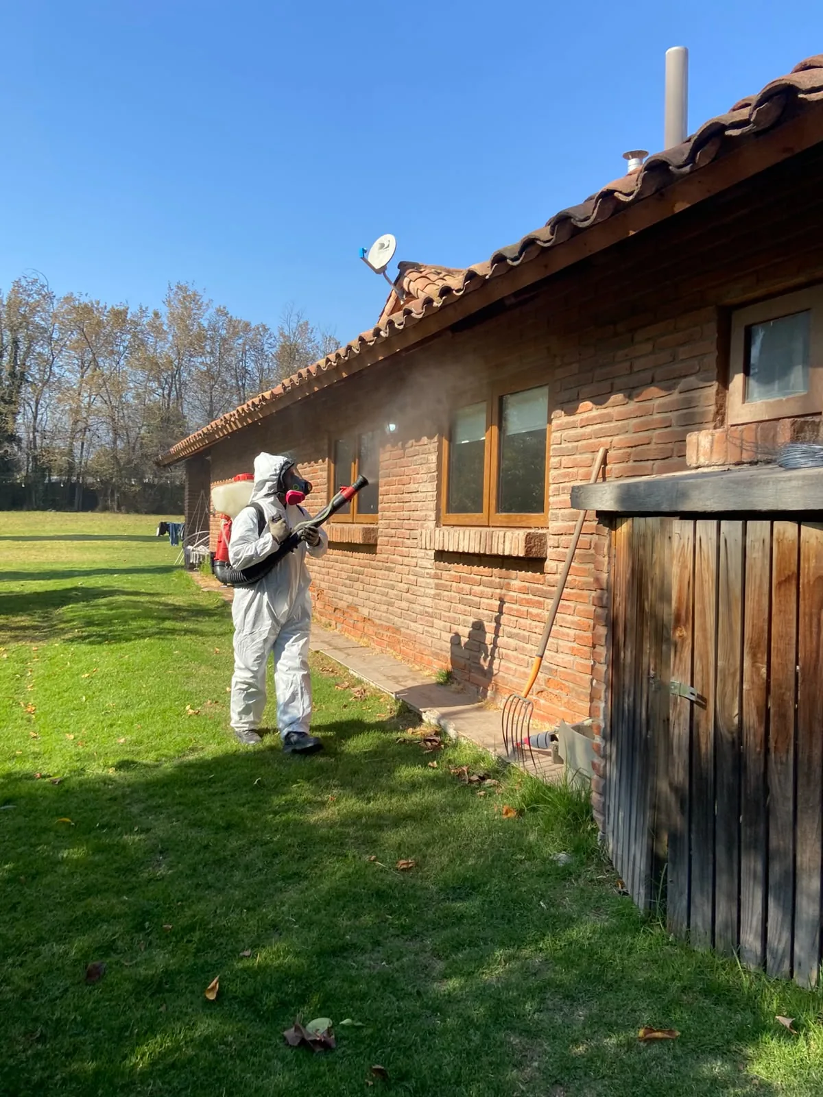 Servicio de control de plagas exterior en vivienda