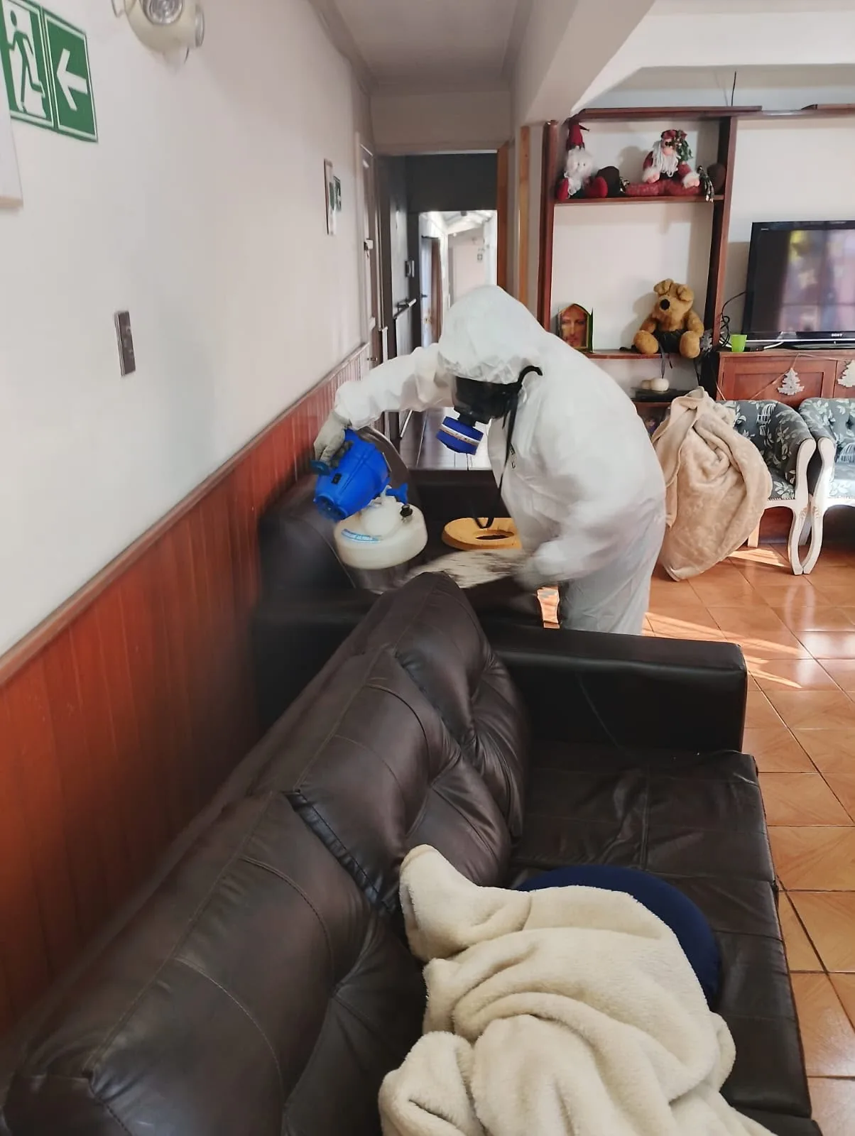 Control de plagas residencial en interior de vivienda