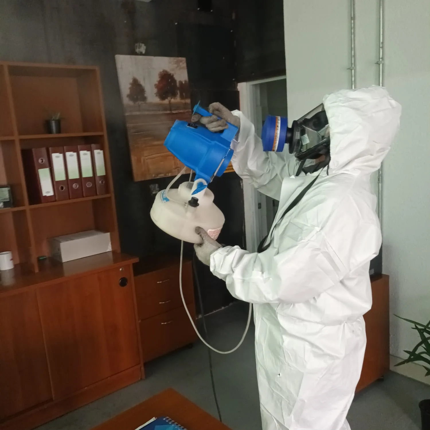 Control de plagas en oficinas y espacios comerciales